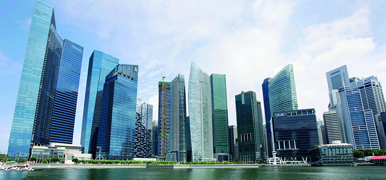 Singaporean-fin1