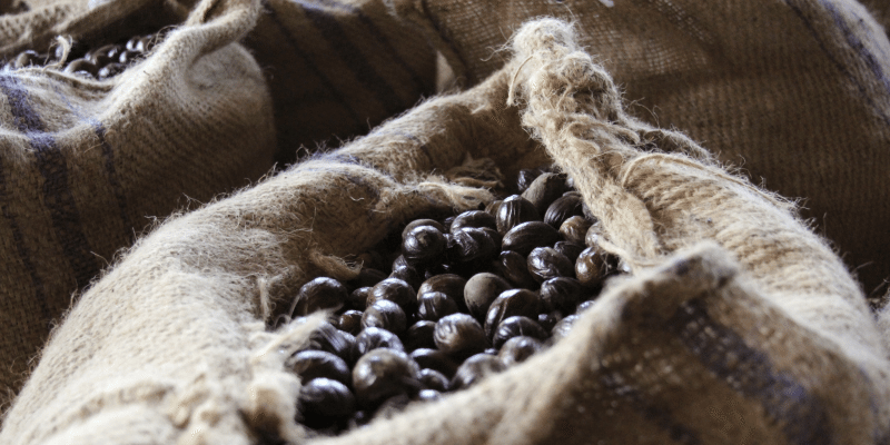 посещение Dougaldston Spice Estate