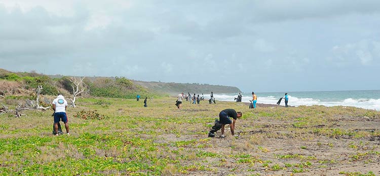 Annual International Coastal Cleanup