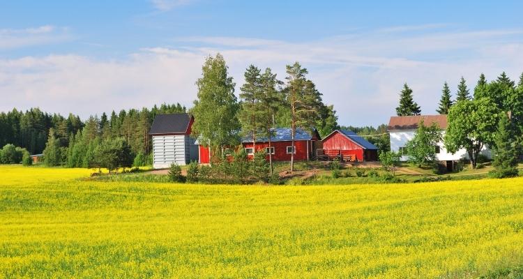 Участок земли в Финляндии