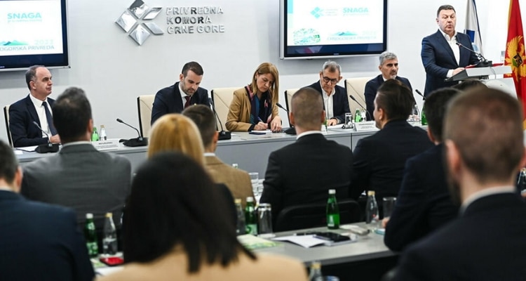 Налог  на реинвестированную прибыль в Черногории
